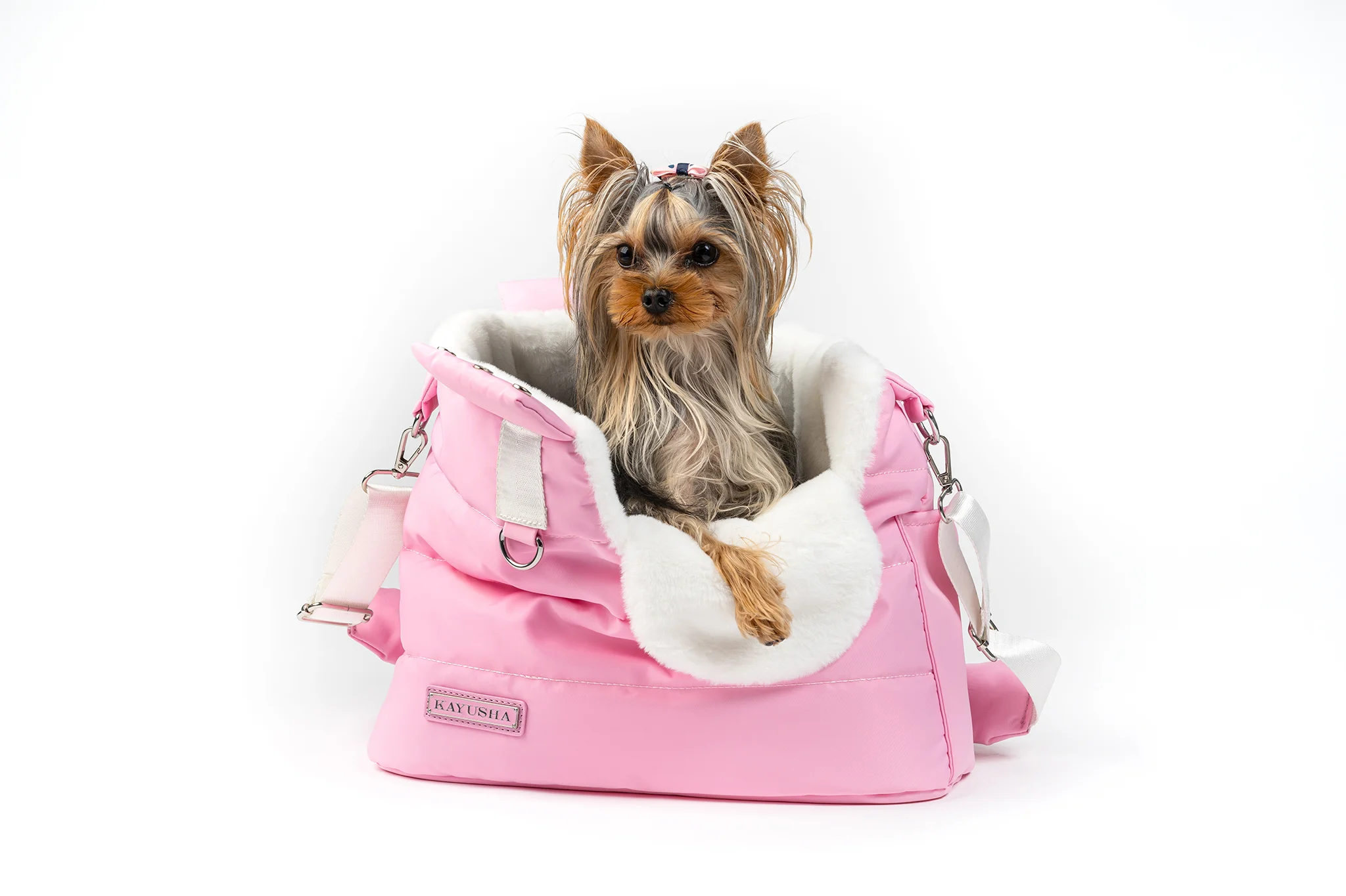 Playful lifestyle product moment with a dog in a branded bag for social and display campaigns